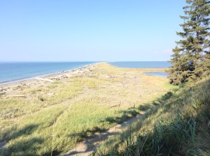Dungeness Spit