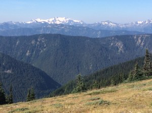 Obstruction Point hike and Mount Olympus