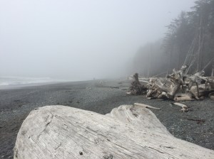 A foggy beach
