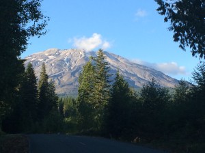 Approaching the trailhead