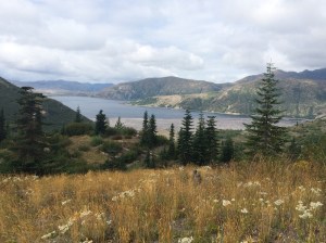 Spirit Lake: This lake was extremely acidic after the eruption, but could support life again after only 10 yrs.