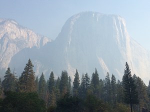 The park as it was being slowly revealed through the smoky haze.  