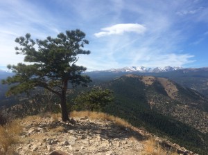 A nice Colorado lunch spot
