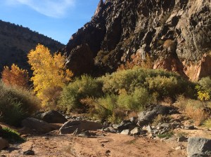 Diablo Canyon near Santa Fe