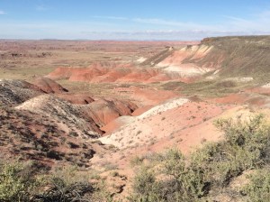 Petrified Forest National Park