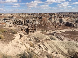 Petrified Forest National Park