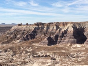 Petrified Forest National Park