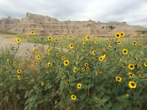 Badlands National Park