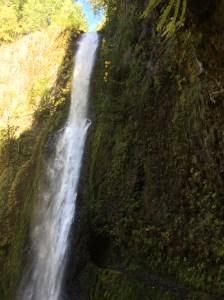 Tunnel Falls - Columbia River Gorge